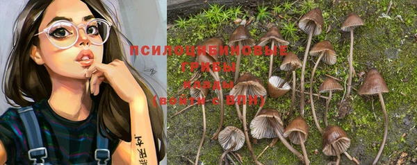 СК Кулебаки