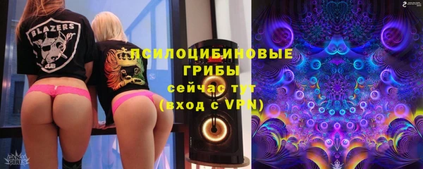 СК Кулебаки